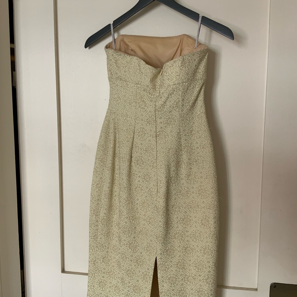 Celine Strapless Mini Dress - Picture 3 of 4